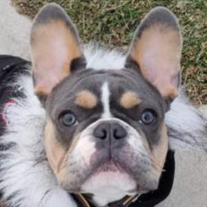 Meet your Posher, Vanessa